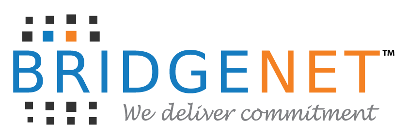 Cropped Bridgenet Logo With Trademark 2019 1 E1595214784522